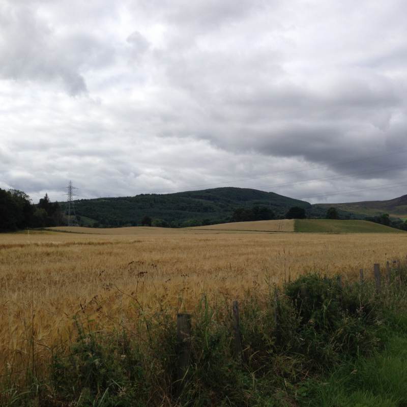 Felder und Hügel am Morgen