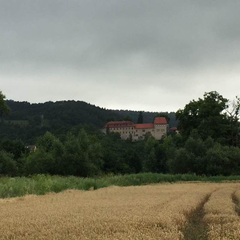 Blick auf die Creuzburg