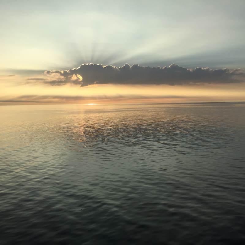 Wer früh aufsteht ...