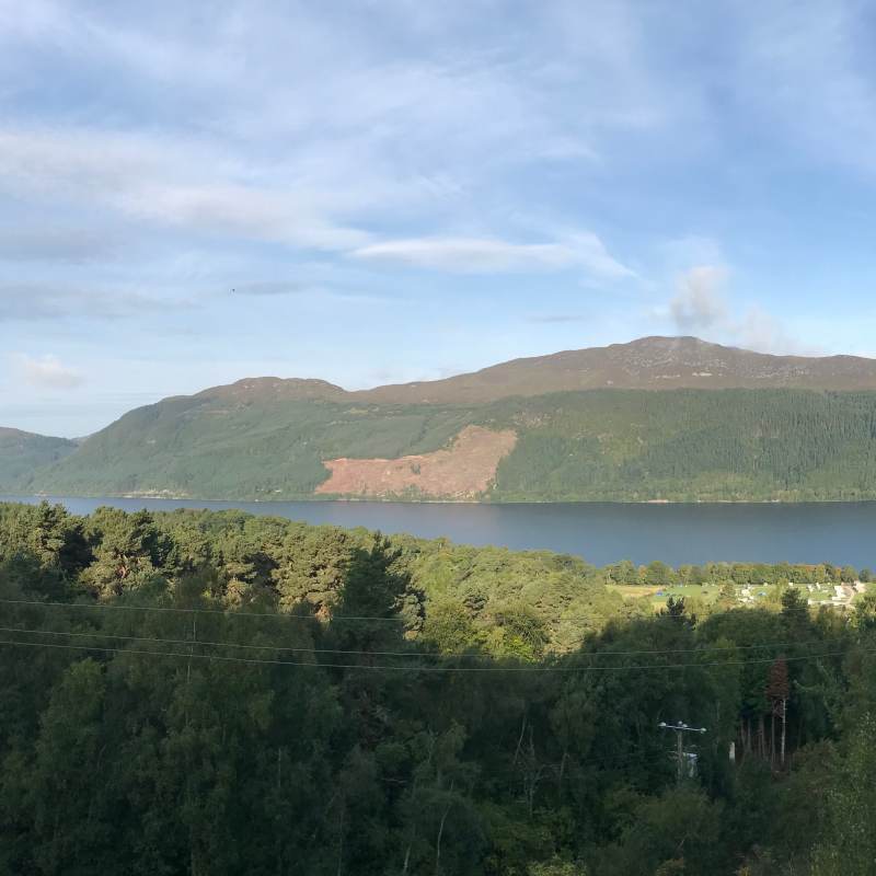 Morgendlicher Blick aus dem Fenster