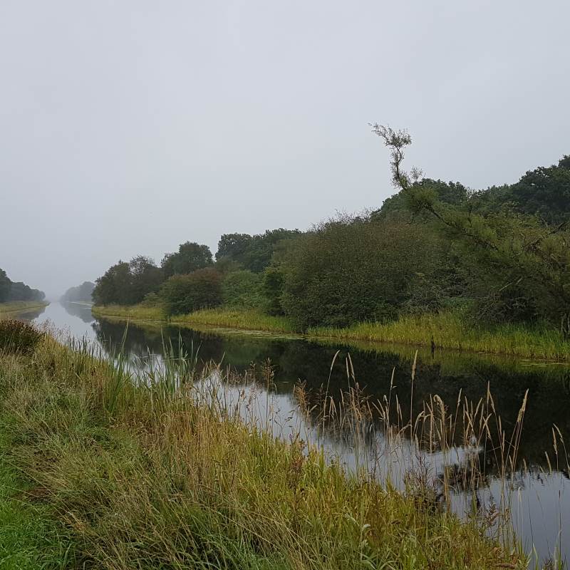 Trübe, aber zunächst nur Sprühregen