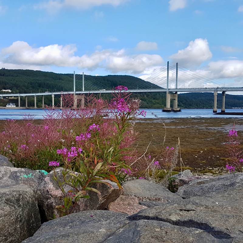 Blick auf die Kessock Bridge