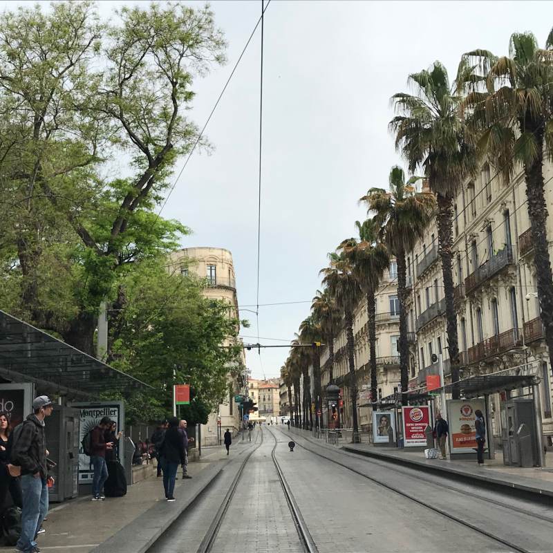 Friedliches Montpellier am Morgen